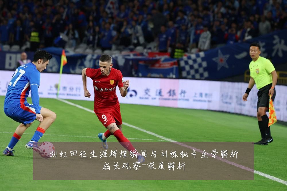 刘虹田径生涯辉煌瞬间与训练秘辛全景解析成长观察-深度解析